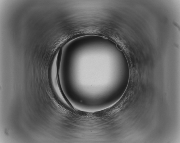 X0000096940201200802151222