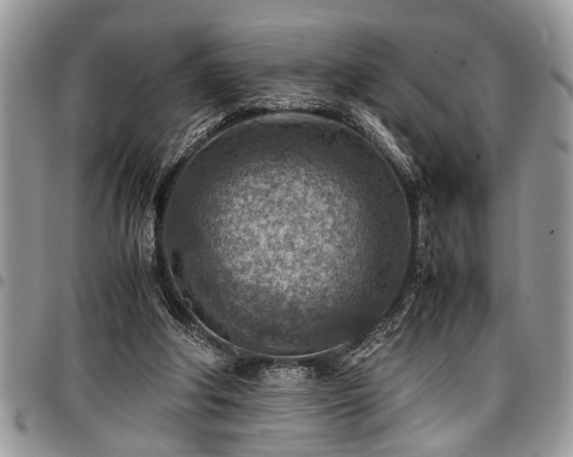 X0000096940202200802151222