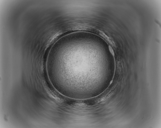 X0000096940203200802151222