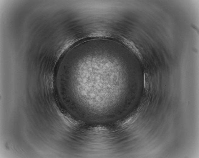 X0000096940204200802151222