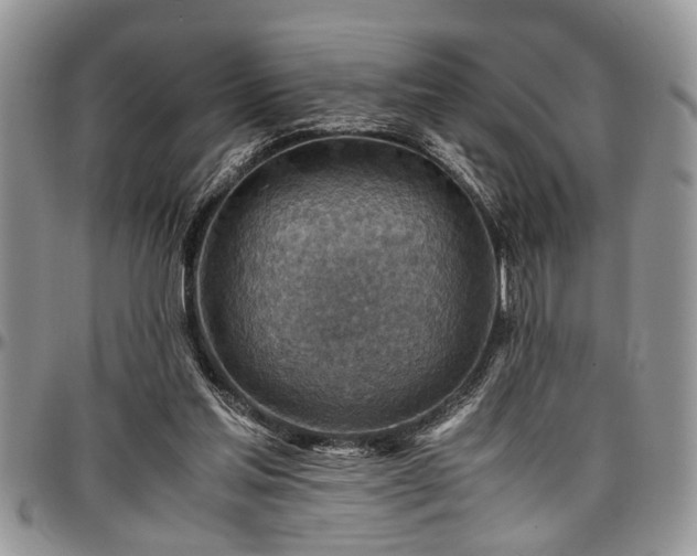 X0000096940205200802151222