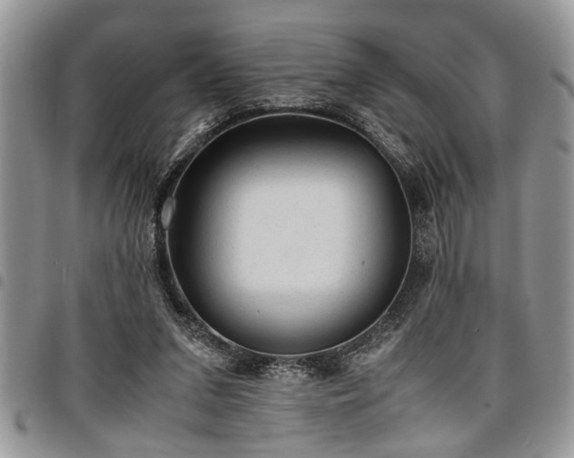 X0000096940207200802151222