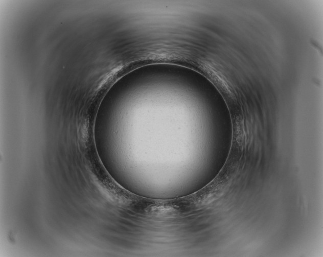X0000096940208200802151222
