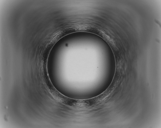 X0000096940209200802151222