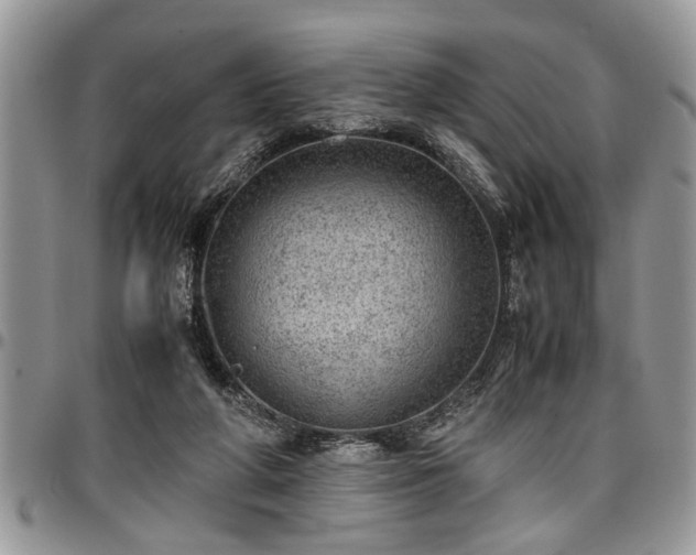 X0000096940210200802151222