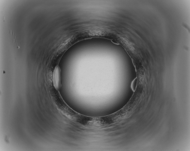 X0000096940211200802151222