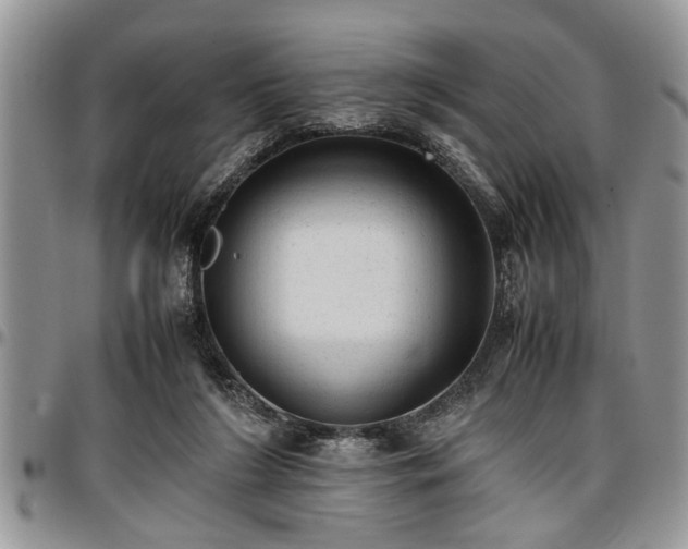 X0000096940212200802151222