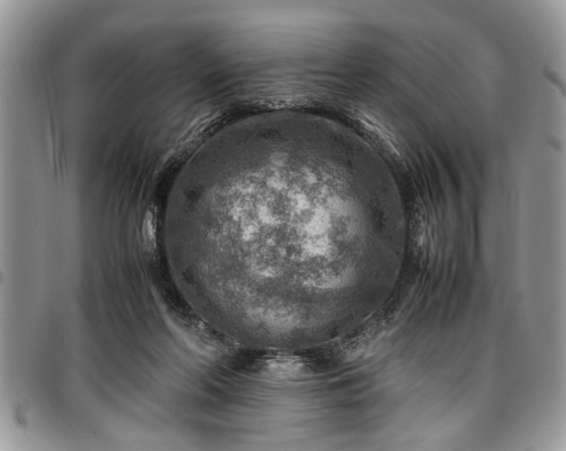 X0000096940214200802151222