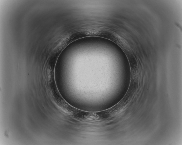 X0000096940215200802151222