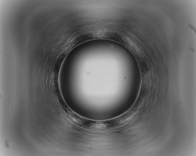 X0000096940217200802151222