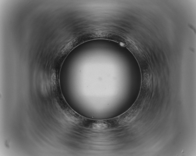 X0000096940220200802151222