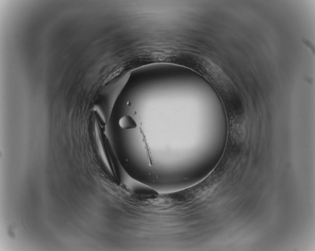 X0000096940221200802151222