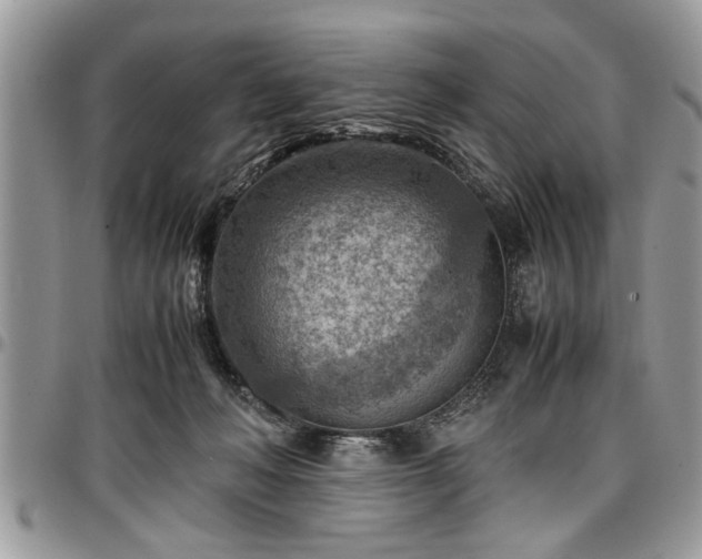 X0000096940222200802151222