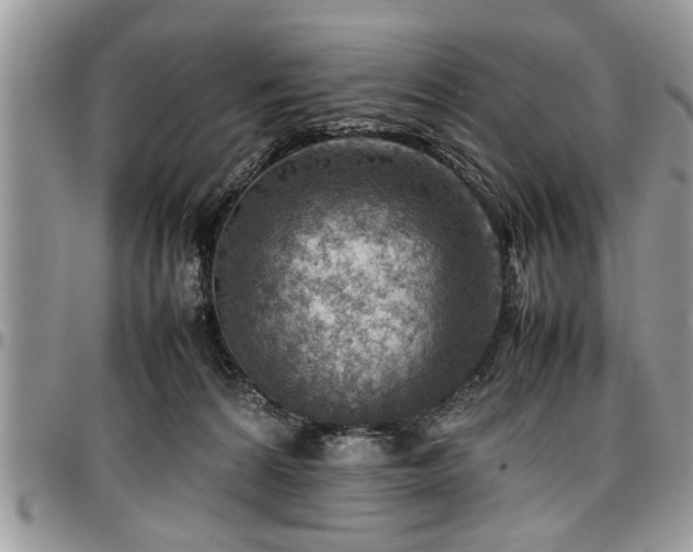 X0000096940224200802151222