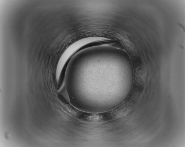 X0000096940225200802151222