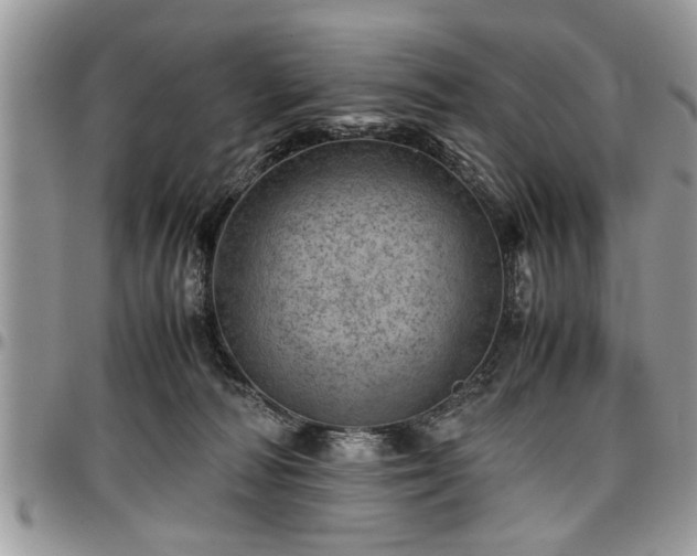 X0000096940226200802151222