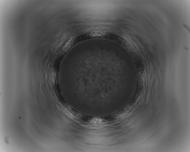 X0000096940227200802151222