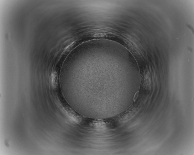 X0000096940228200802151222
