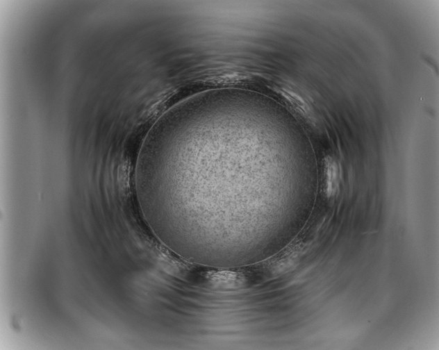 X0000096940230200802151222