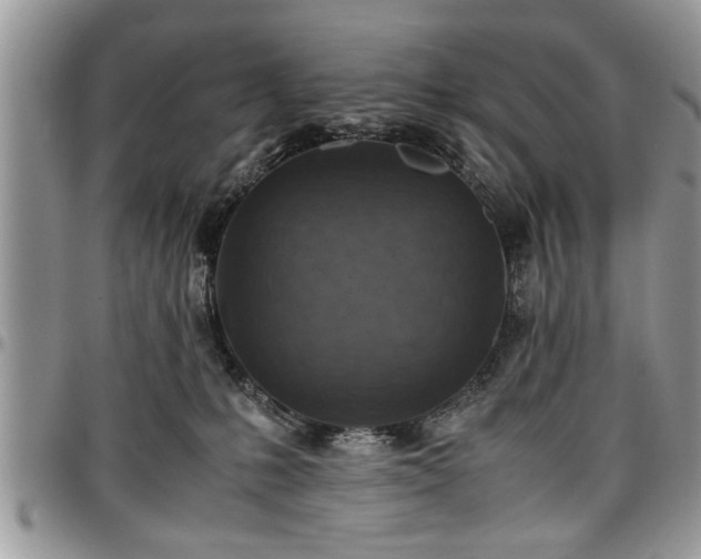 X0000096940231200802151222