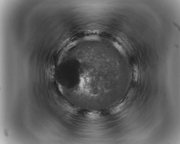X0000096940232200802151222