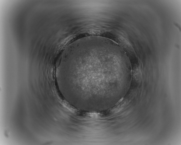 X0000096940233200802151222
