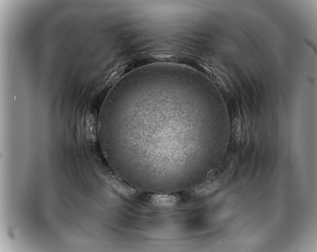 X0000096940234200802151222