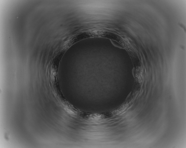 X0000096940235200802151222
