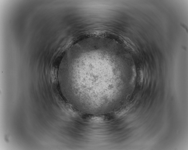 X0000096940236200802151222