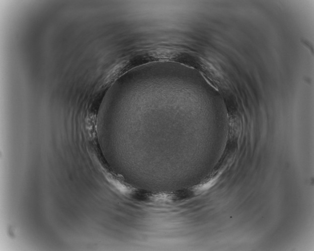 X0000096940237200802151222
