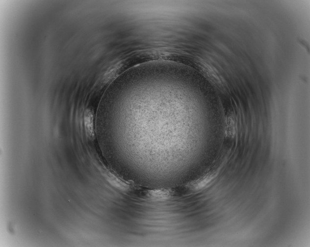 X0000096940238200802151222