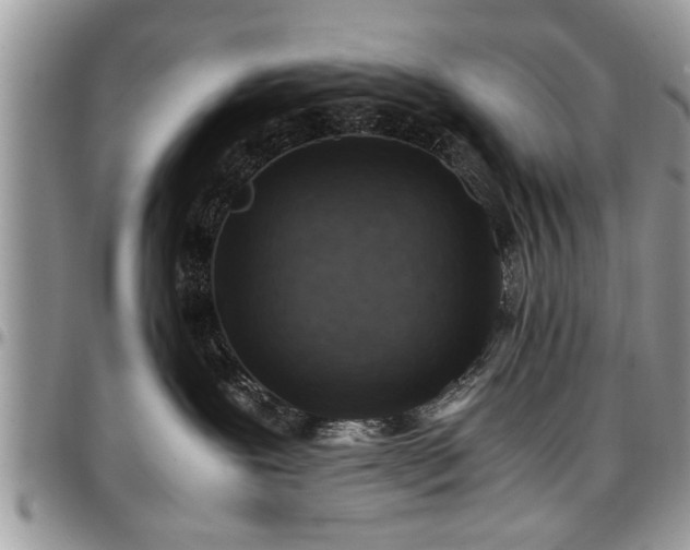 X0000096940239200802151222