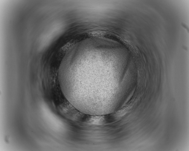 X0000096940240200802151222