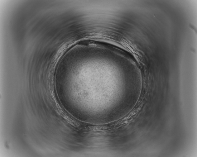 X0000096940241200802151221