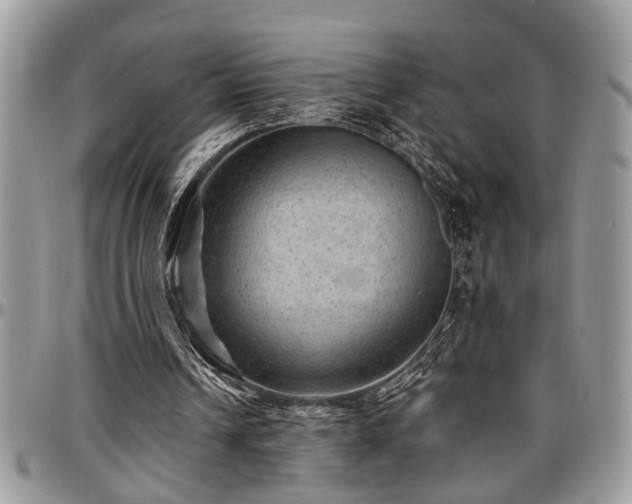 X0000096940242200802151221