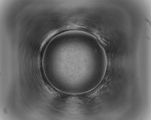 X0000096940244200802151221