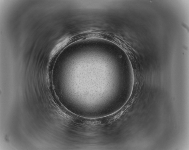 X0000096940245200802151221