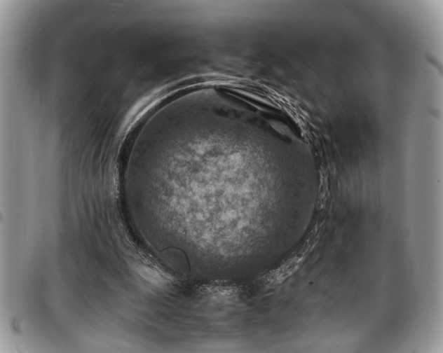 X0000096940247200802151221