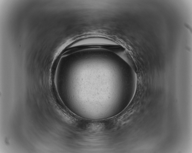 X0000096940248200802151221