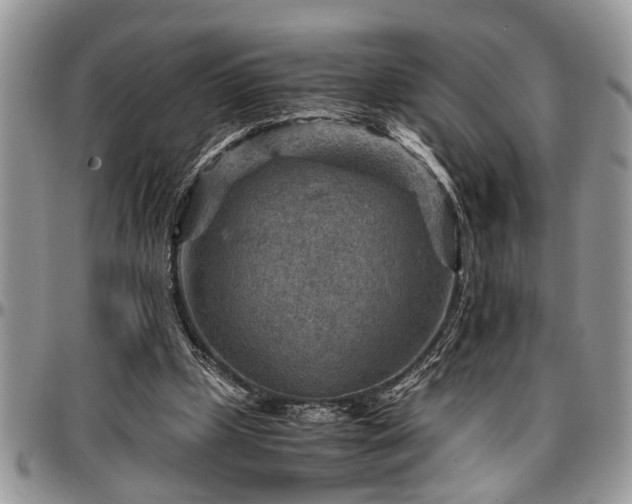 X0000096940249200802151221