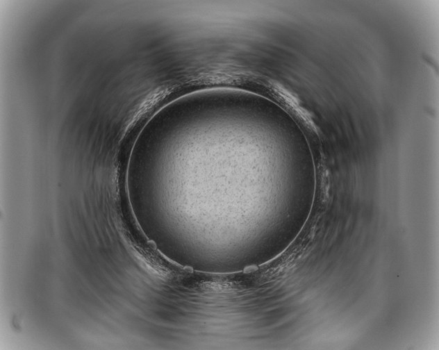 X0000096940250200802151221