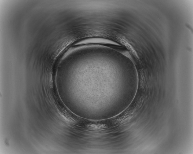 X0000096940251200802151221