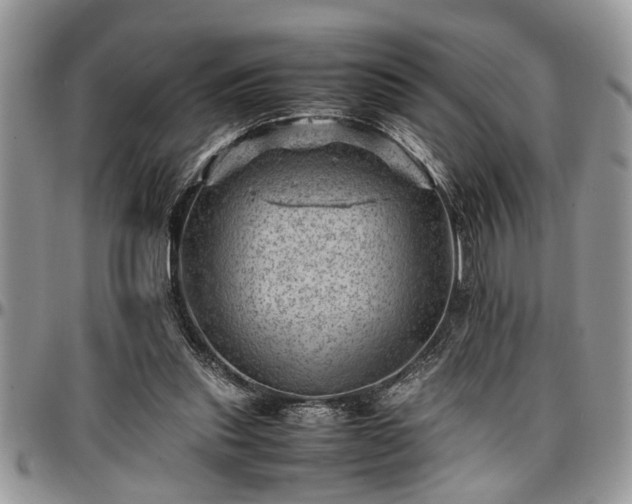 X0000096940253200802151221