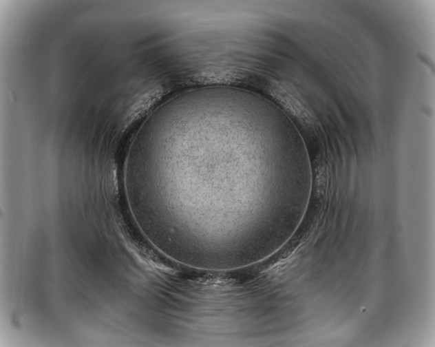 X0000096940254200802151221