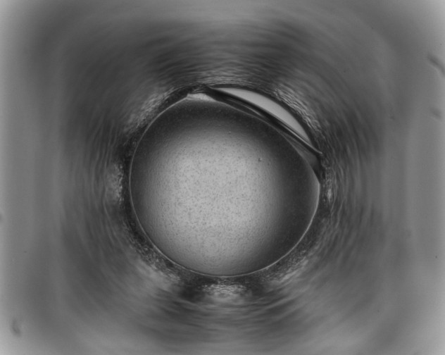 X0000096940255200802151221