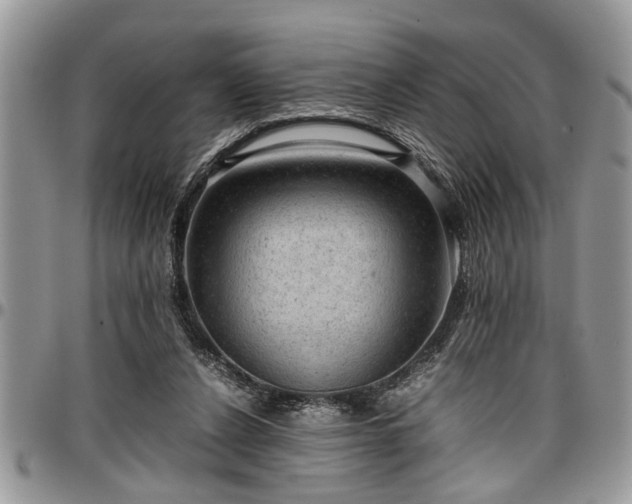 X0000096940256200802151221