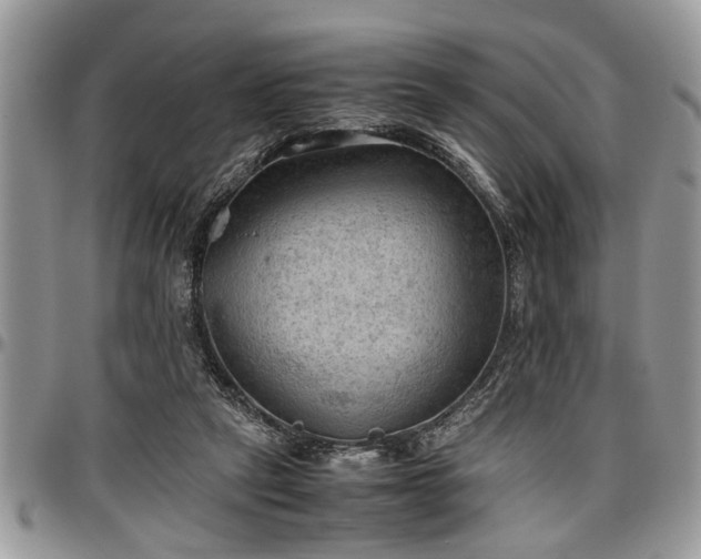 X0000096940257200802151221