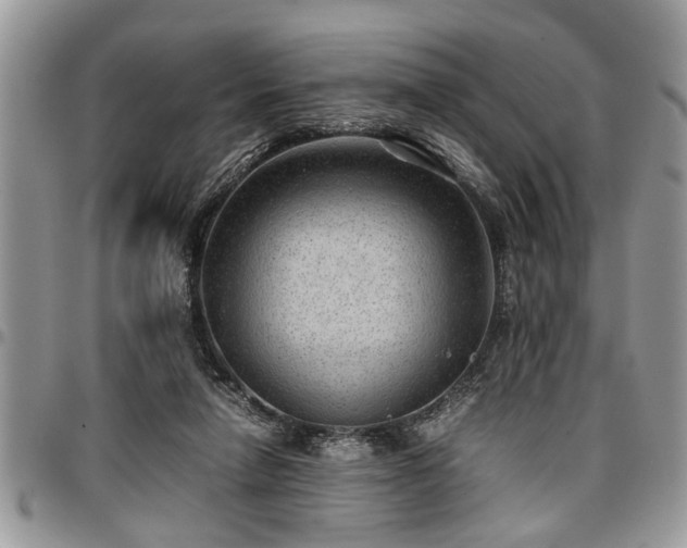 X0000096940258200802151221
