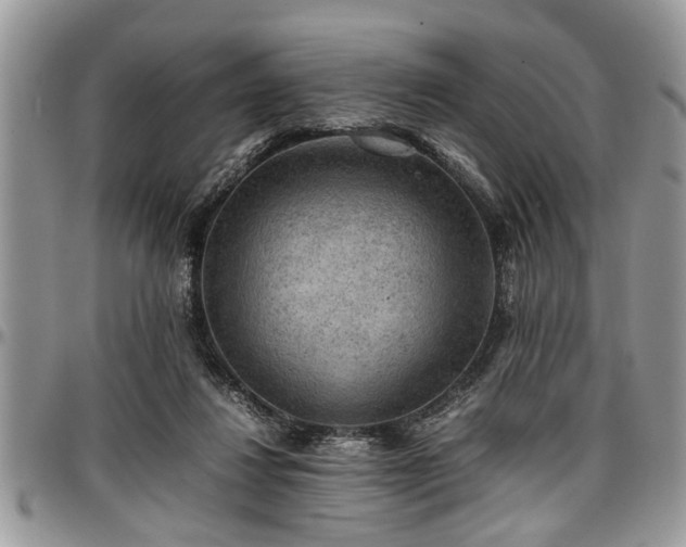 X0000096940260200802151221