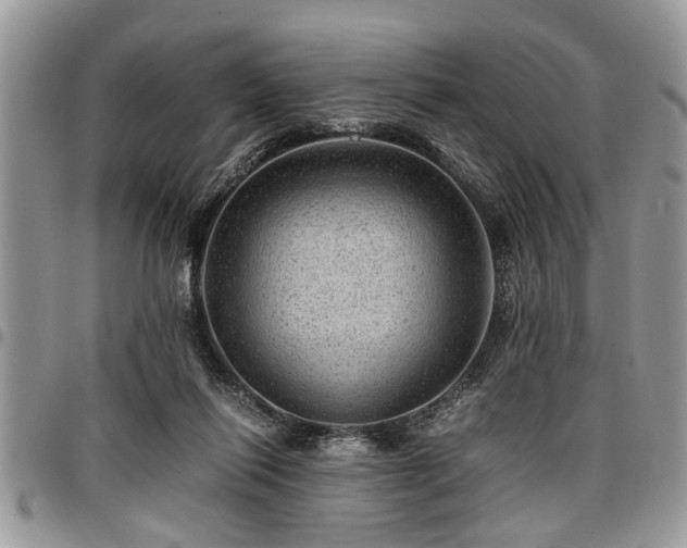 X0000096940262200802151221